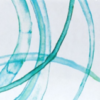 Wide-Clariti-1Day-4Astigmatism-90pack-FINAL